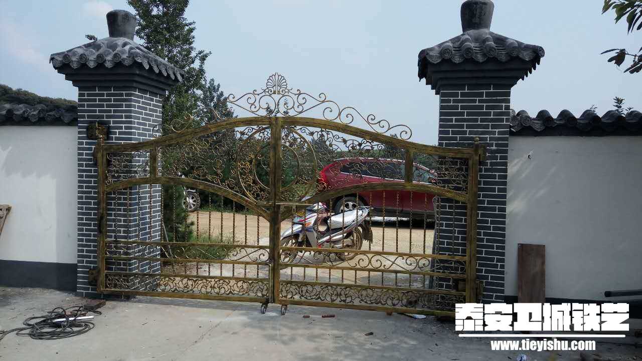 铁艺大门TDM2016013-2(泰安省庄自建别墅)