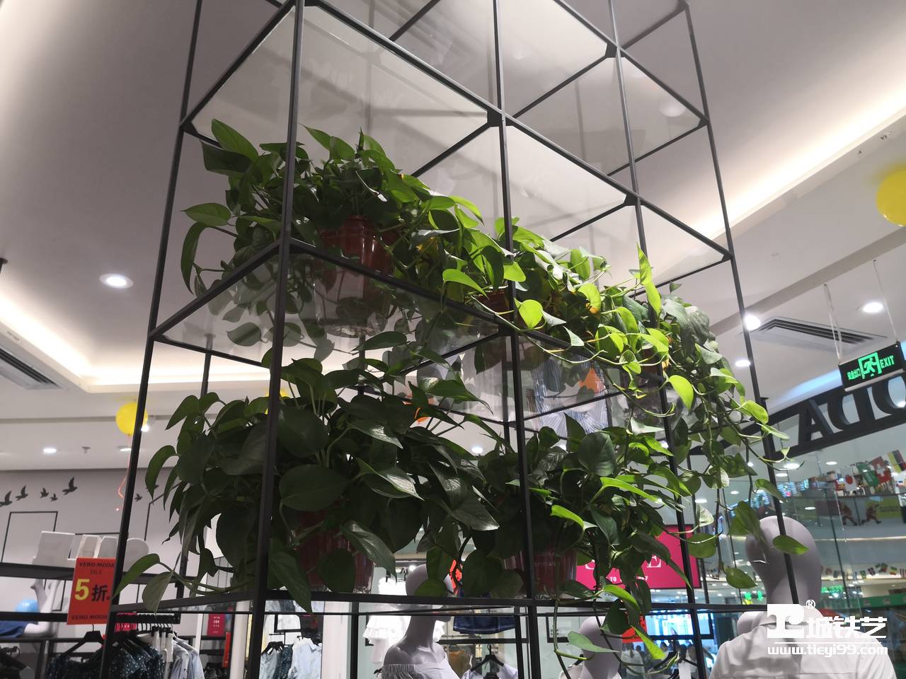 铁艺货架/铁艺陈列架/铁艺置物架THJ2107-案例赏析-实景拍摄