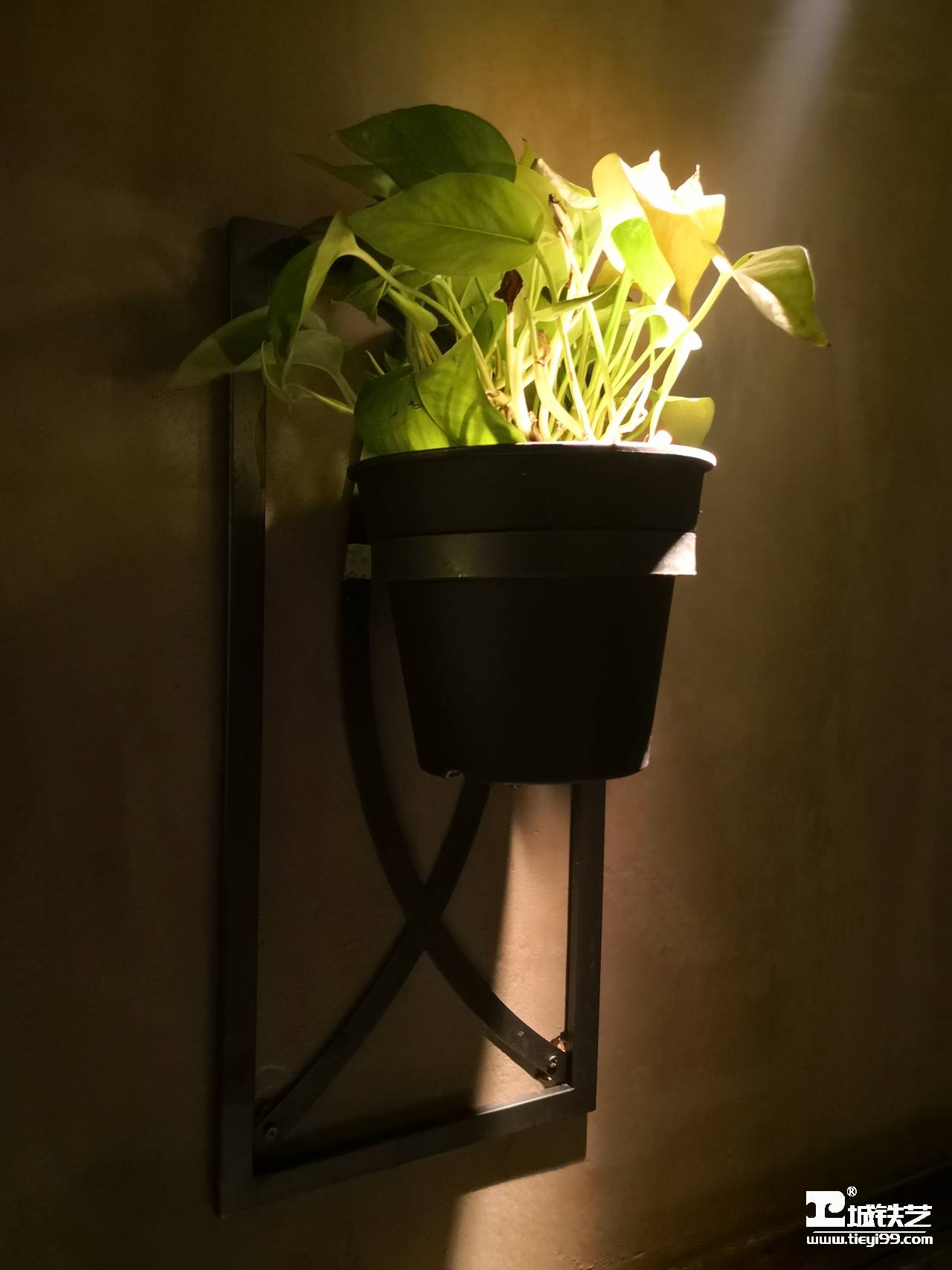 铁艺花篮/铁艺花架THJ2103-案例赏析-实景拍摄四