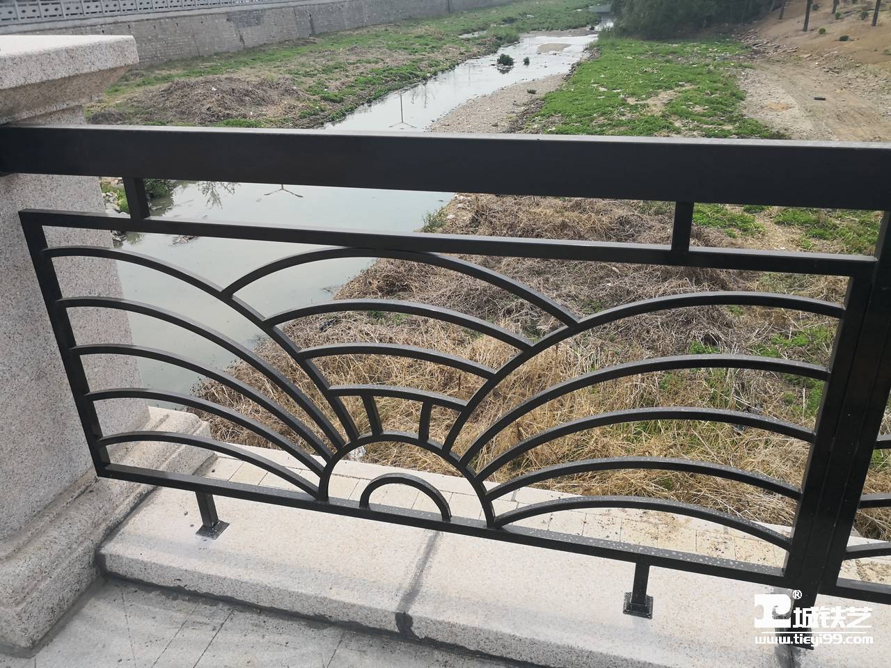 铁艺护栏/铁艺栏杆THL2117-实景拍摄-龙湖公园四