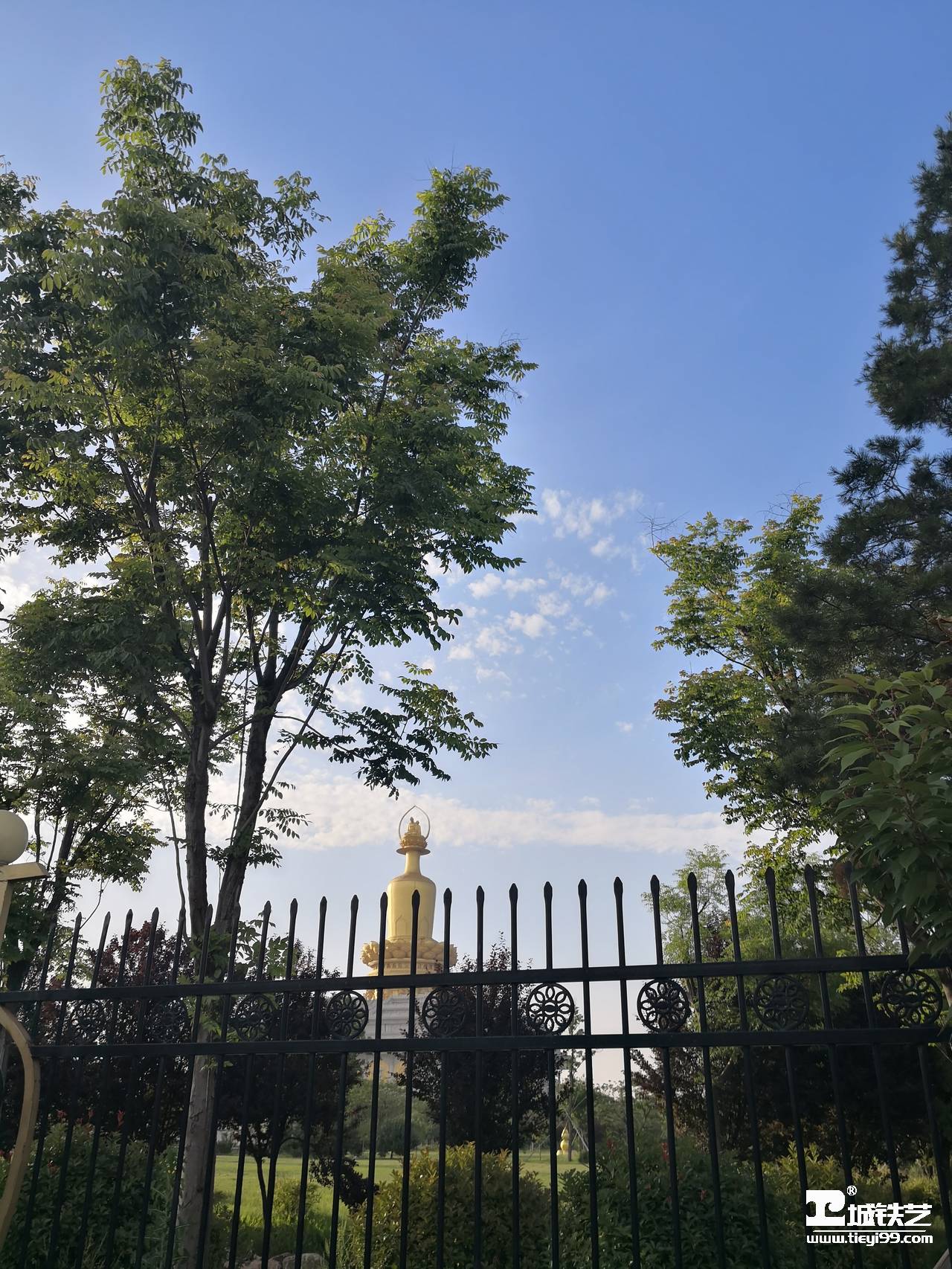 铁艺围栏|铁艺围墙|围墙护栏TW2116-案例赏析-实景拍摄五