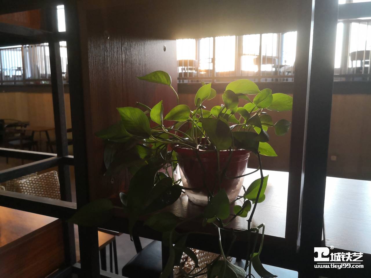 铁艺货架/铁艺陈列架/铁艺置物架THJ2109-案例赏析-实景拍摄三