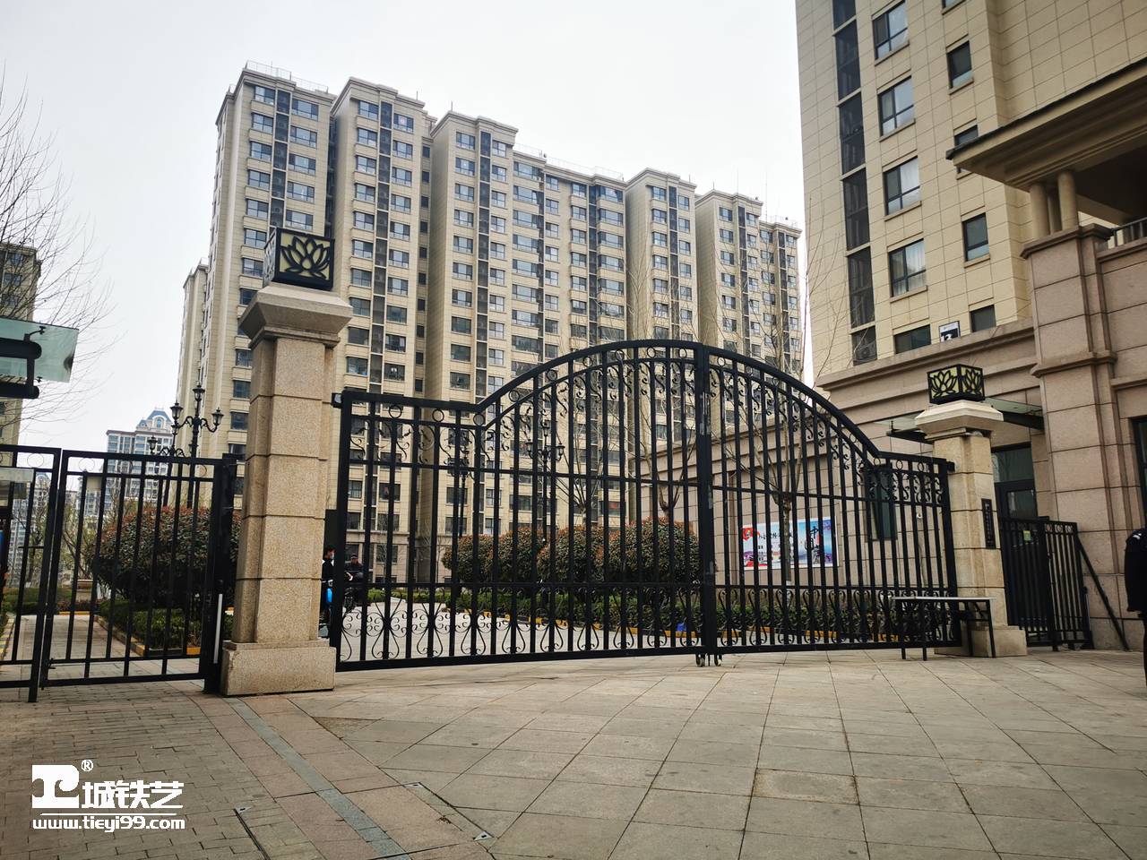 铁艺大门|庭院门|小区大门TDM2123-图1