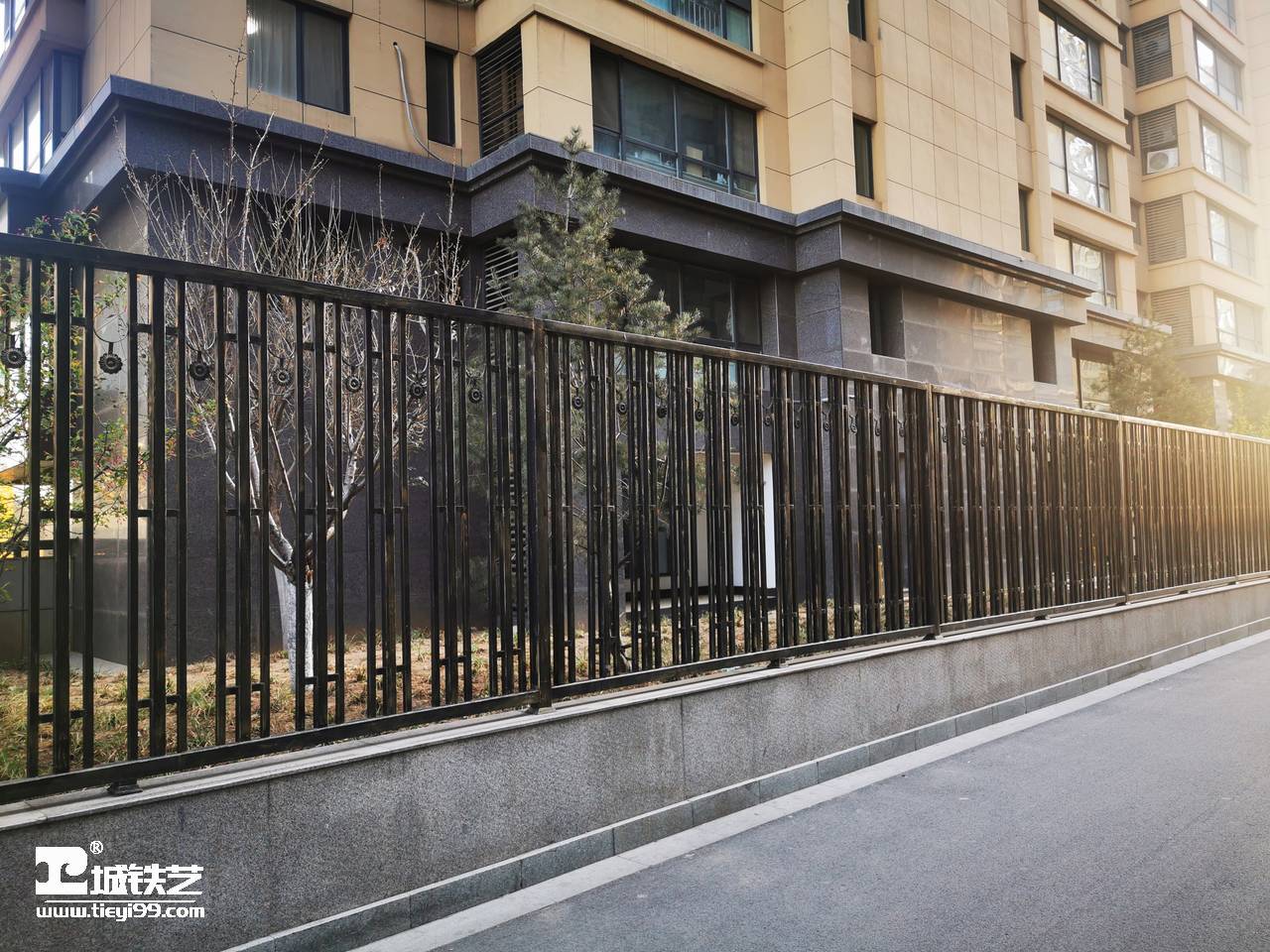 铁艺围栏|铁艺围墙|围墙护栏TW2162-图1