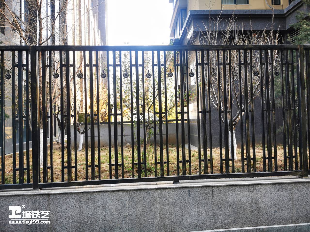 铁艺围栏|铁艺围墙|围墙护栏TW2162-图2