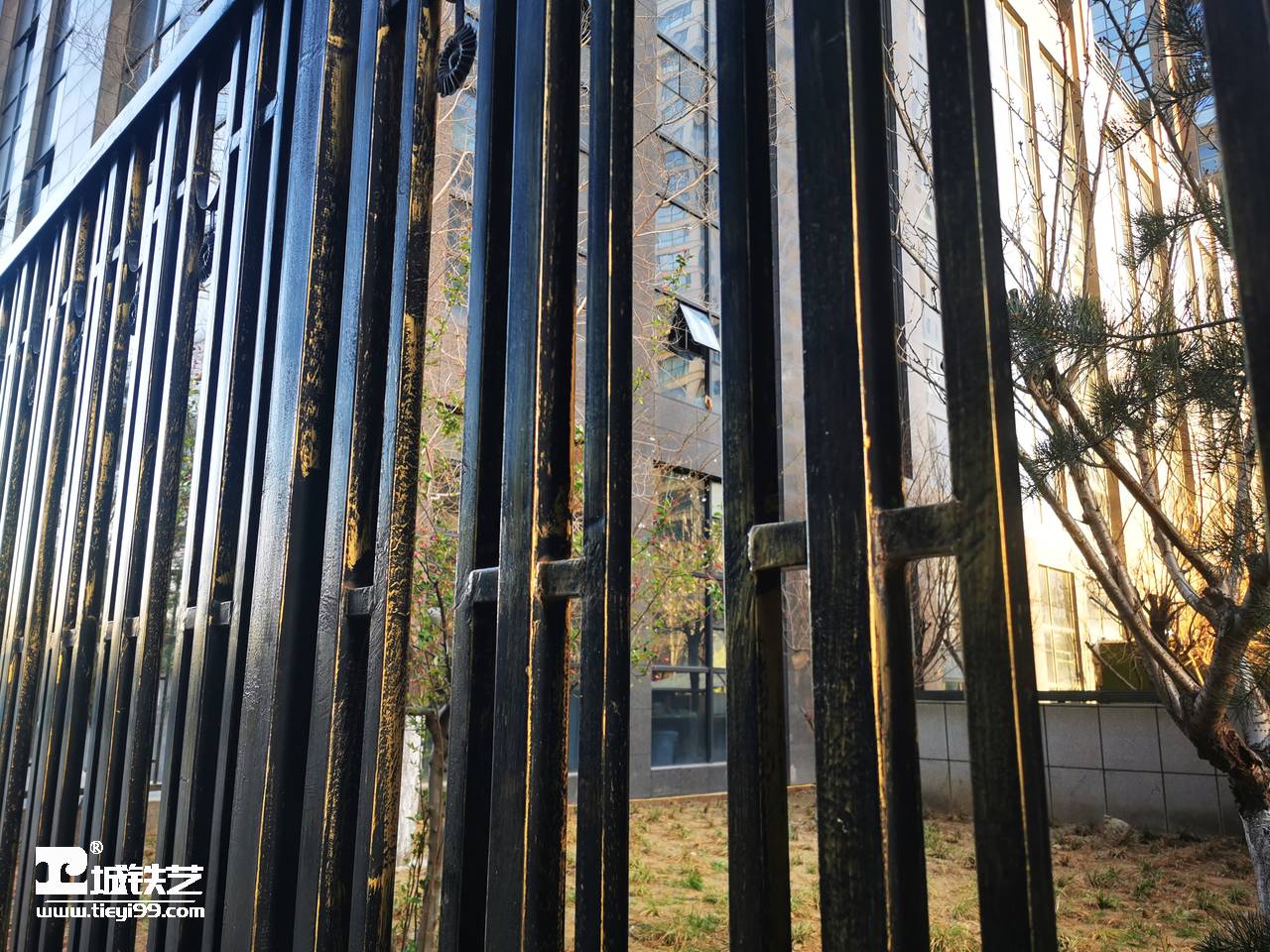 铁艺围栏|铁艺围墙|围墙护栏TW2162-图5
