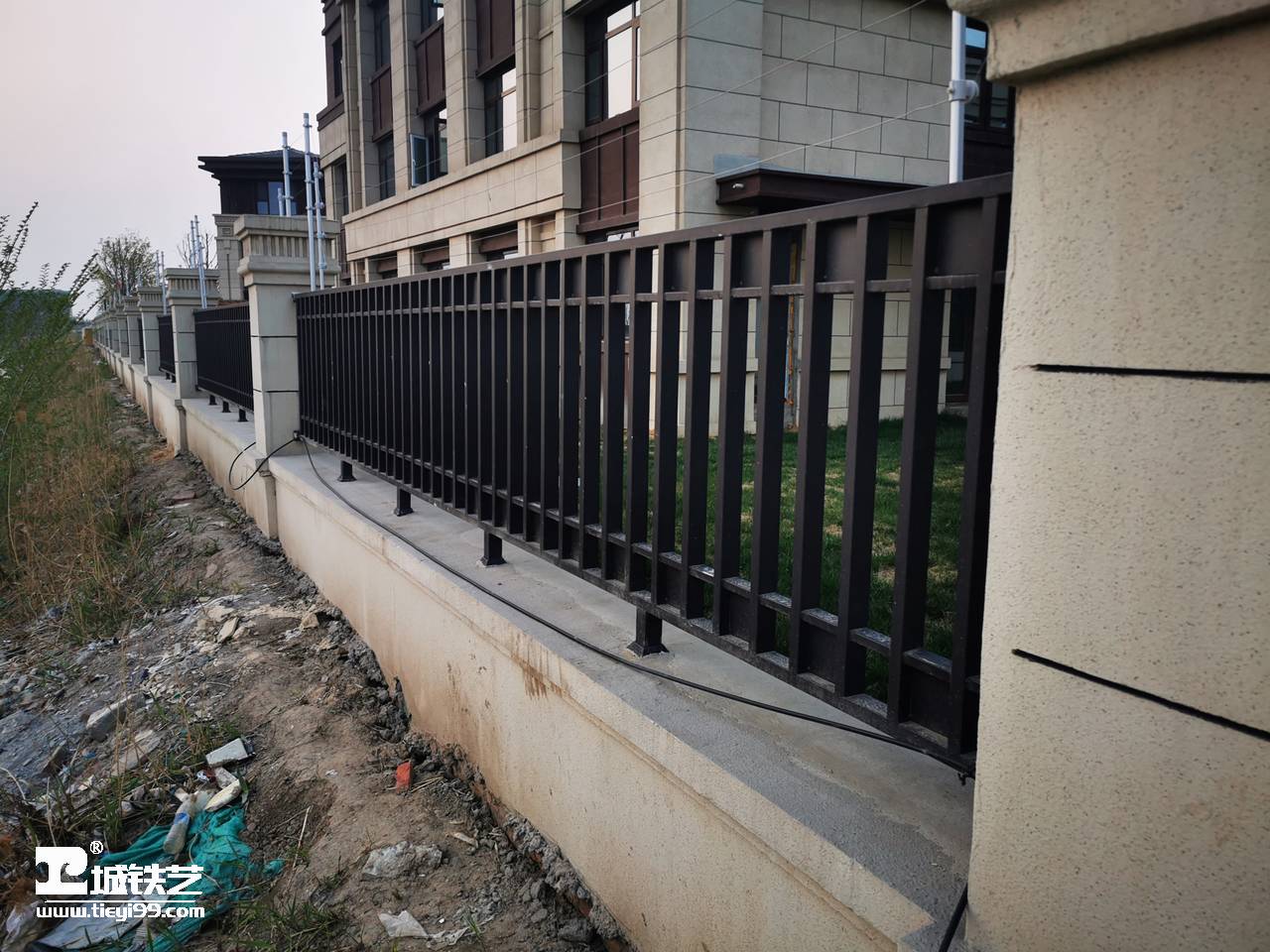 铁艺围栏|铁艺围墙|围墙护栏TW2165-图1