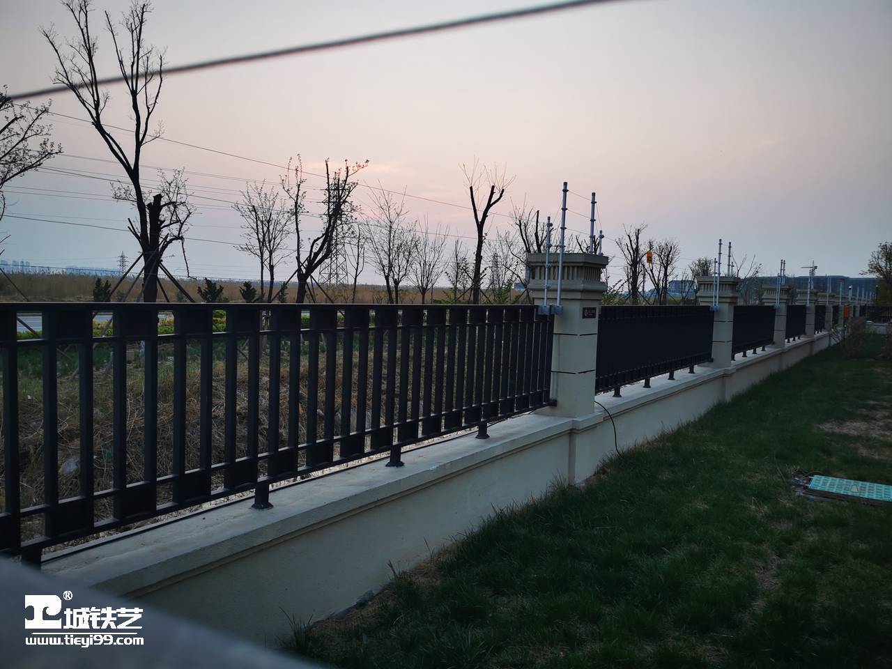 铁艺围栏|铁艺围墙|围墙护栏TW2165-图3