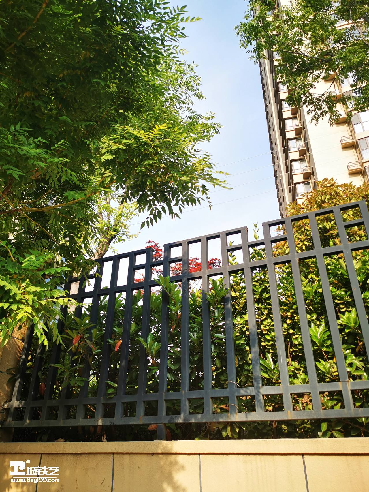 铁艺围栏|铁艺围墙|围墙护栏TW2170-图3