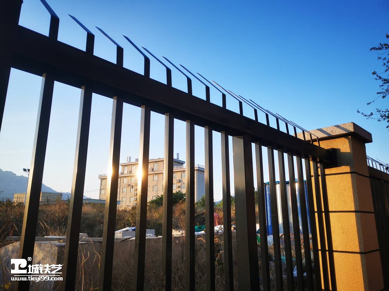 铁艺围栏|铁艺围墙|围墙护栏TW2183-图4