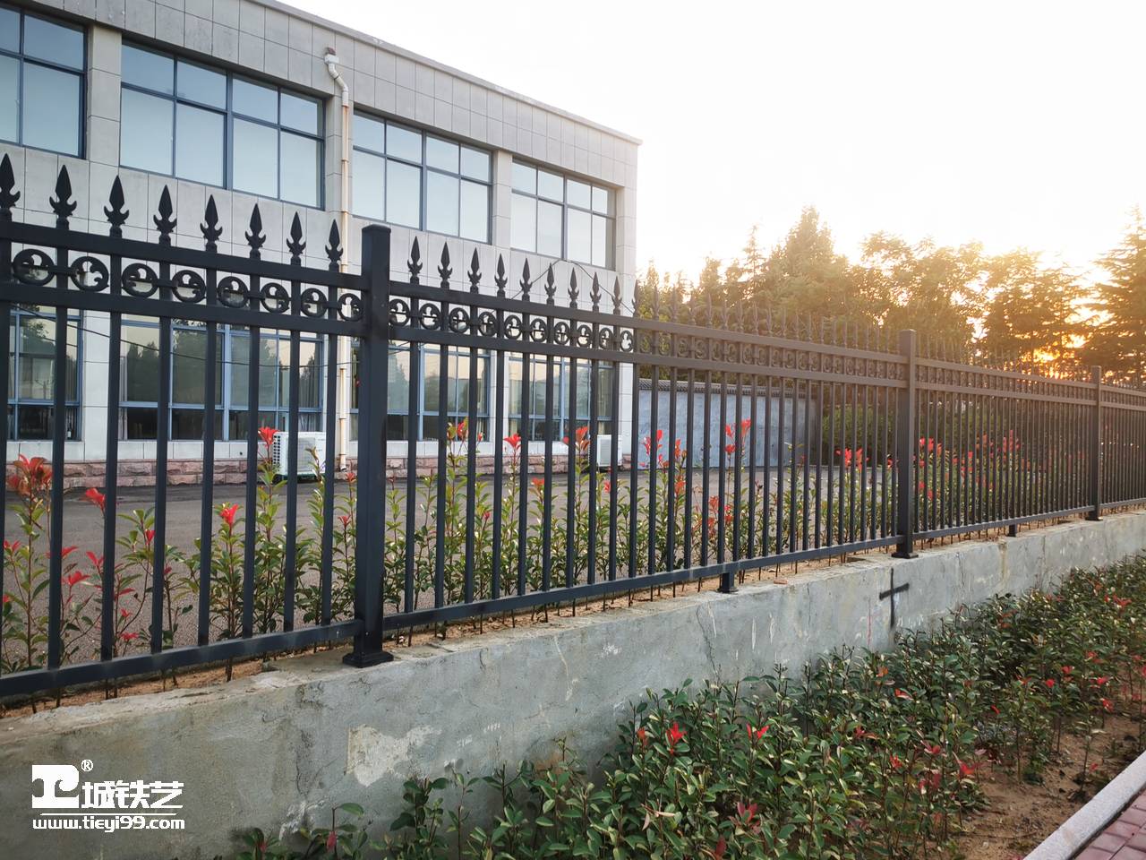 铁艺围栏|铁艺围墙|围墙护栏TW2186-图1