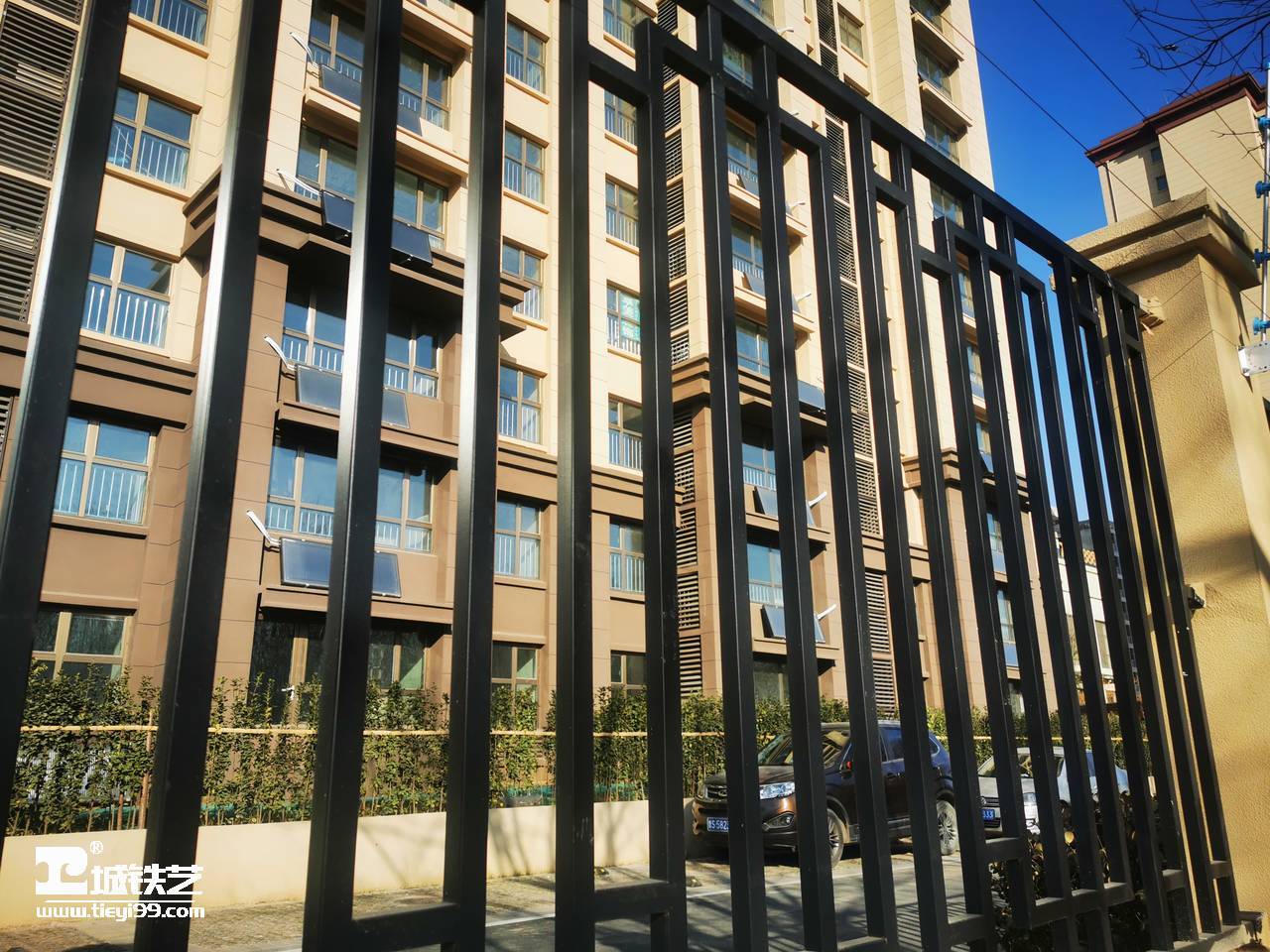 铁艺围栏|铁艺围墙|围墙护栏TW2196-图4